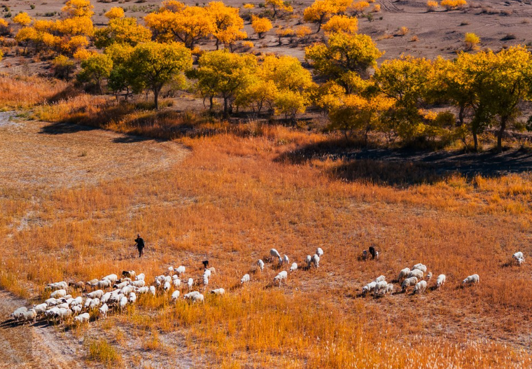 拍摄素材怎么加密防盗？一招教你搞定插图